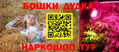 spice Тверь