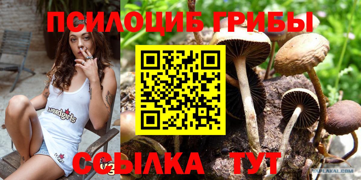 Алушта  Галлюциногенные грибы GOLDEN TEACHER  Вход с VPN  Псилоцибиновые грибы мухоморы 